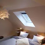 Le De La Reine De Hongrie Soignies