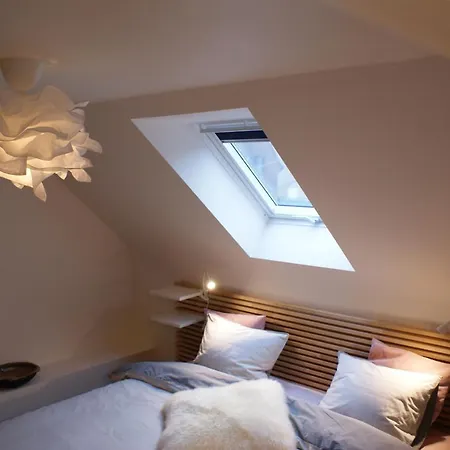 Le De La Reine De Hongrie Soignies