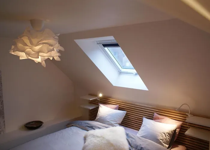 Le De La Reine De Hongrie Soignies