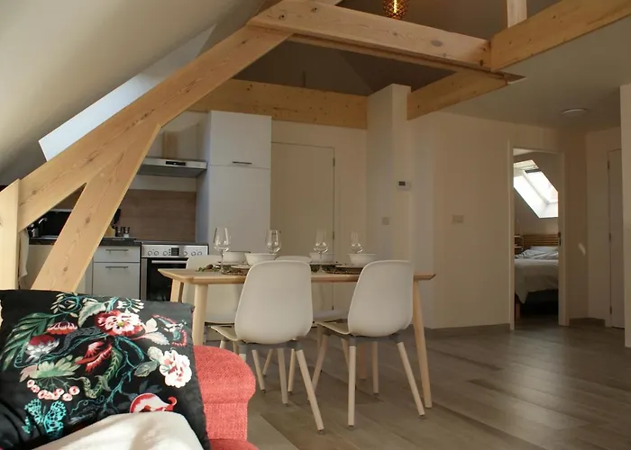 Le De La Reine De Hongrie * Soignies